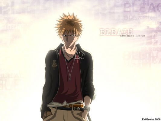 Bleach
Bleach