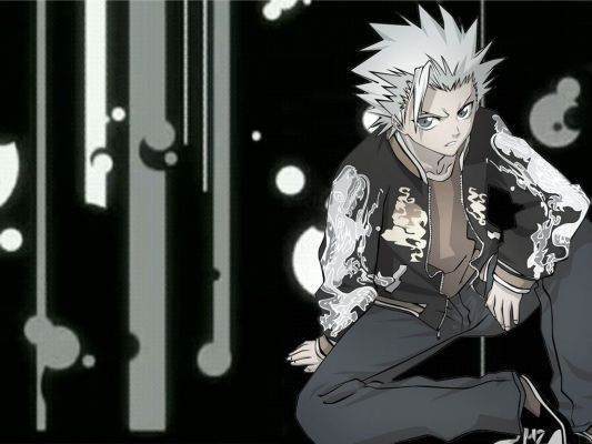 Hitsugaya Toushiro
Bleach