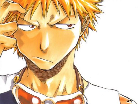 Ichigo
Bleach