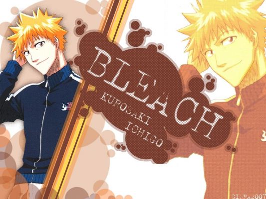 Ichigo
Bleach