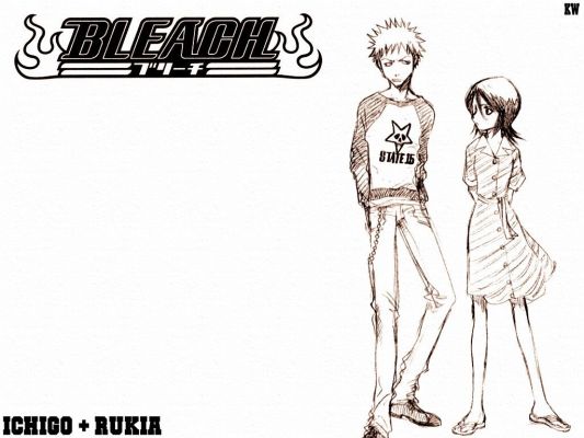 Bleach
Bleach