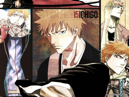 Ichigo
Bleach