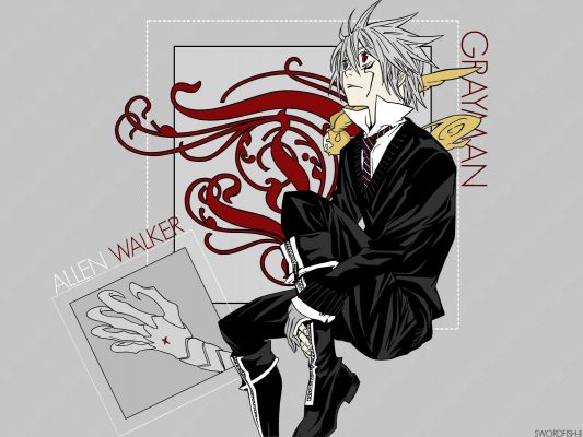 D.Gray man
D.Gray man