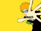 Ichigo
Bleach