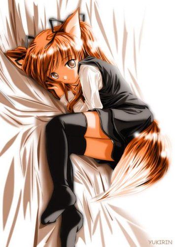 , , picture, photo, foto, Neko, Furry, Yiffy, Anthro