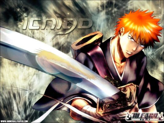 Bleach
