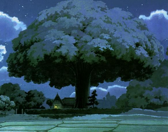 Camphor, My, Neighbor, Totoro