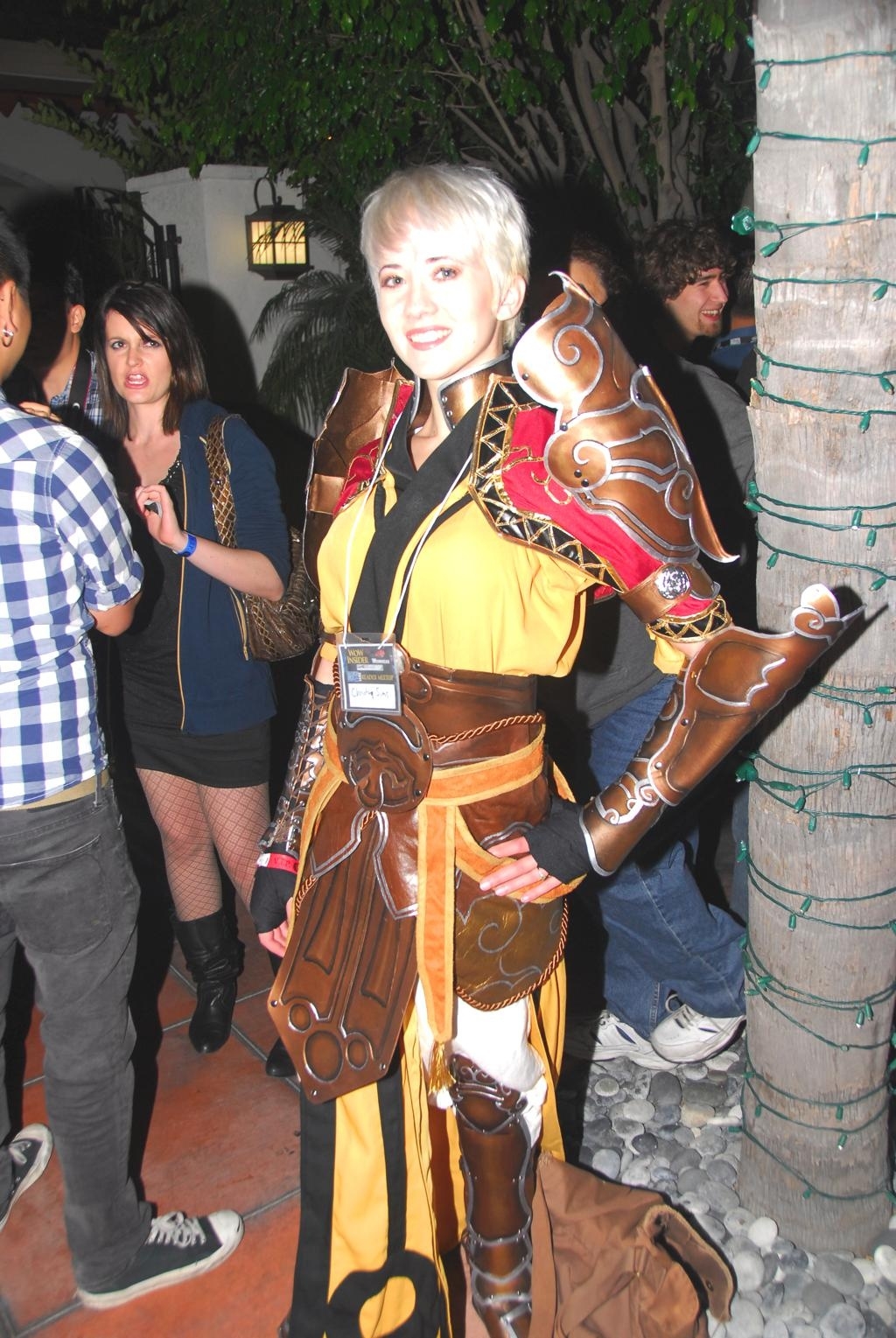 Blizzcon, , cosplay