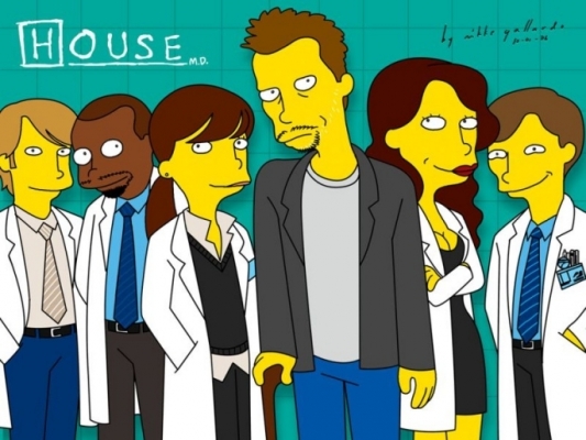 House M.D. 13
House M.D.  