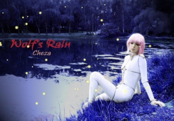 Wolf's Rain - Cheza 03
Wolf's Rain - Cheza