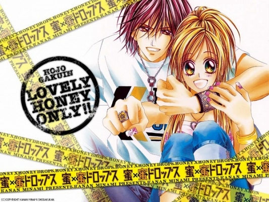 Honey X Honey Drops 10
Honey X Honey Drops wallpaper  Mitsu x Mitsu Drops   