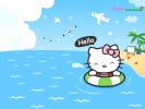 Kitty in sea