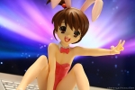 Bunny girls 01
Anime figures    