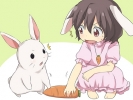 Bunny, Usagi 16
Bunny Usagi