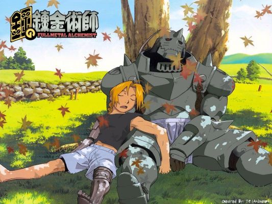 Brothers
FMA FullMetal Alchemist