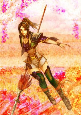 Fan_Chara_of_Dynasty_Warriors_by_E09ETM
