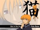 _kyo_
furuba fruits basket kyo