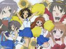 melancholy of Haruhi Suzumiya
melancholy Haruhi Suzumiya