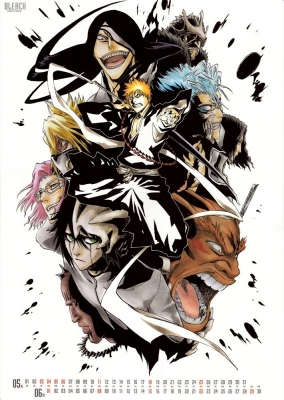 
 bleach