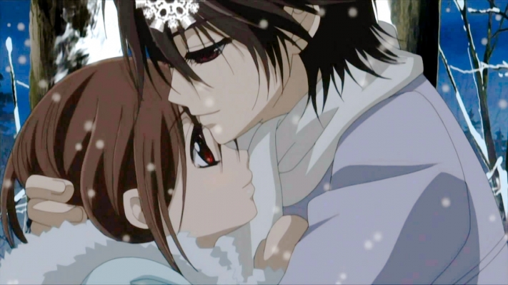 vampire knight
vampire knight