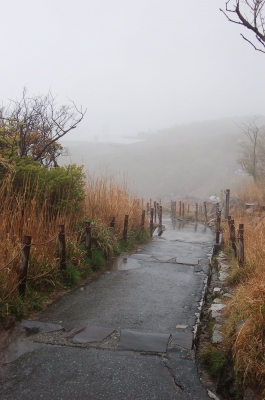 Japan
japan hakone  