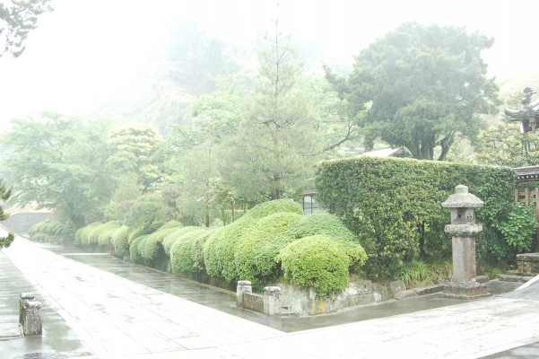 
  kamakura japan