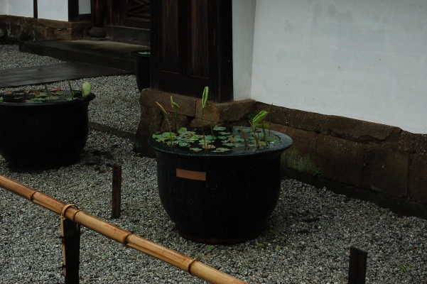 
  kamakura japan