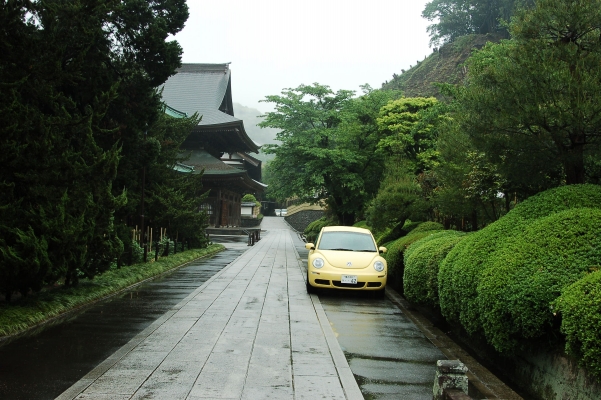 
    )
  kamakura japan