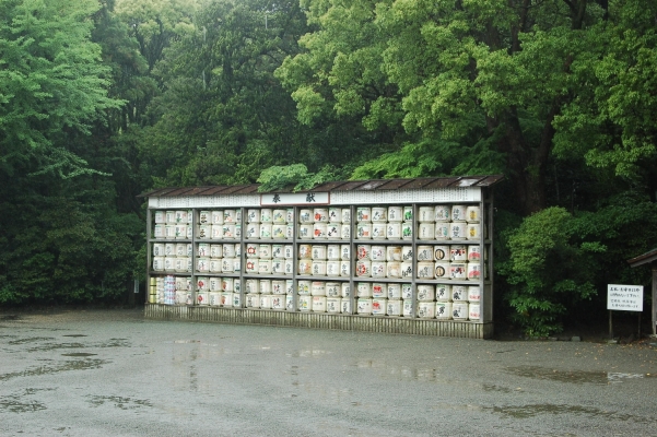 
 ,       ))
  kamakura japan