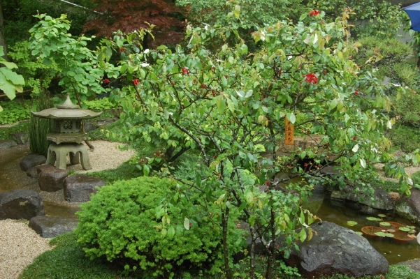 
  kamakura japan