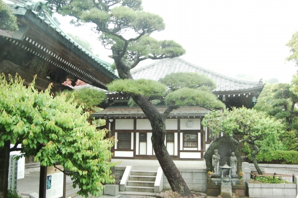 
  kamakura japan