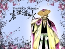 bleach
bleach bleach_anime  _ kyoraku shunsui