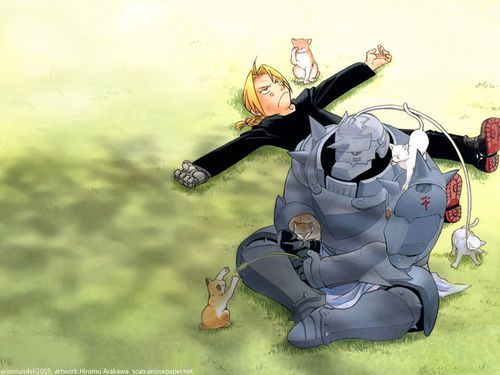 FMA

  