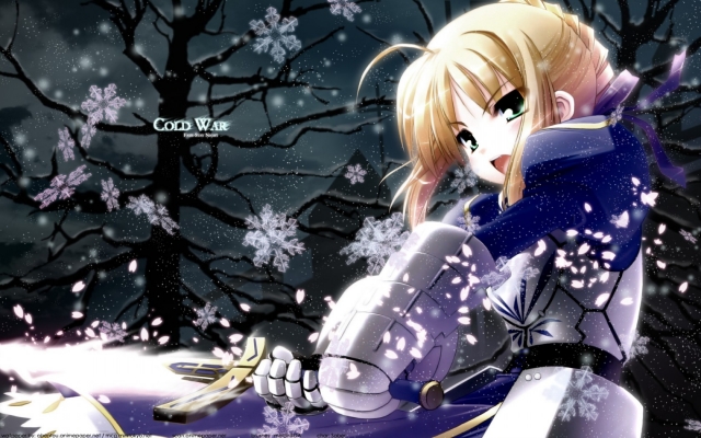 Fate/Stay Night
 Saber