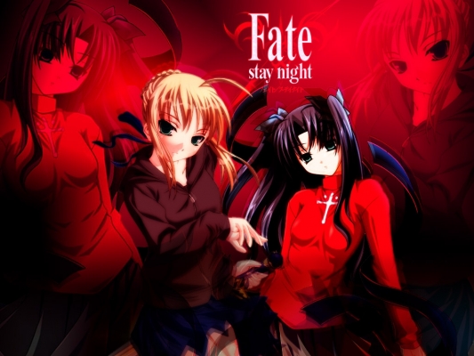 Fate/Stay Night
