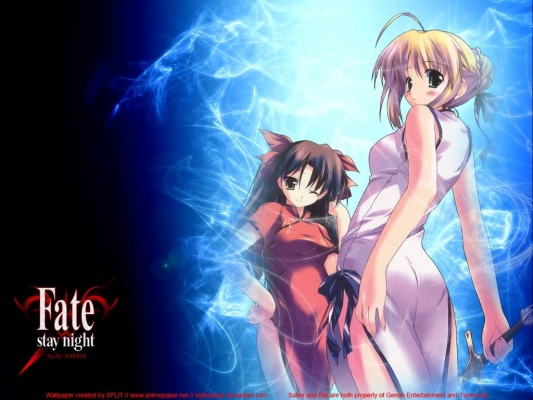 Fate/Stay Night
