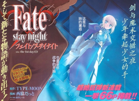 Fate/Stay Night
 Fate Stay Night