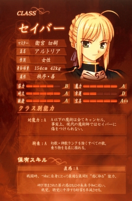 Fate/Stay Night
 Fate Zero (PreHistory)
 Fate Stay Night Zero