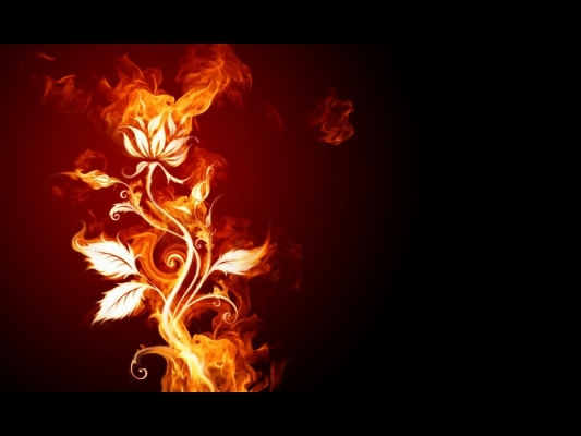  
  fire flower