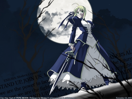 Fate Stay Night
 fate stay_night sader
fate stay_night saber