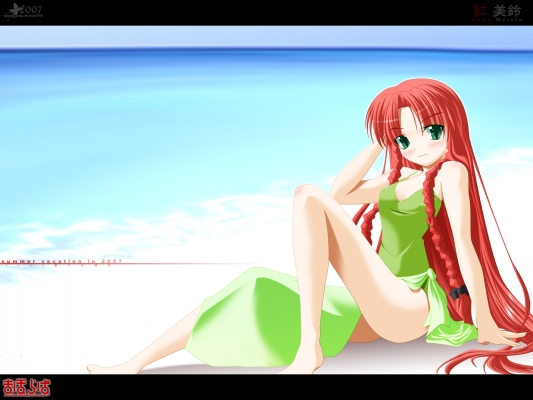 Touhou
 Hong Meiling 
touhou  Hong Meiling 