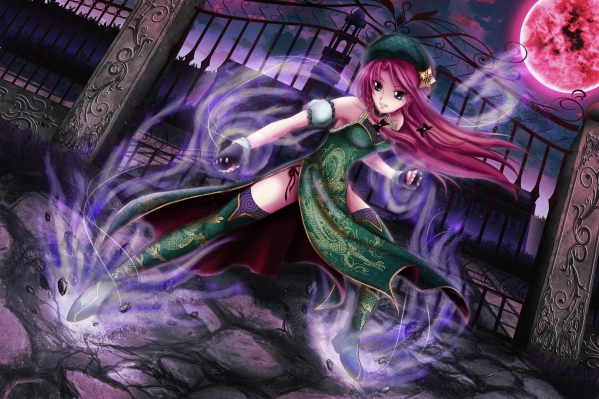 Touhou
  Hong Meiling 
touhou  Hong Meiling 