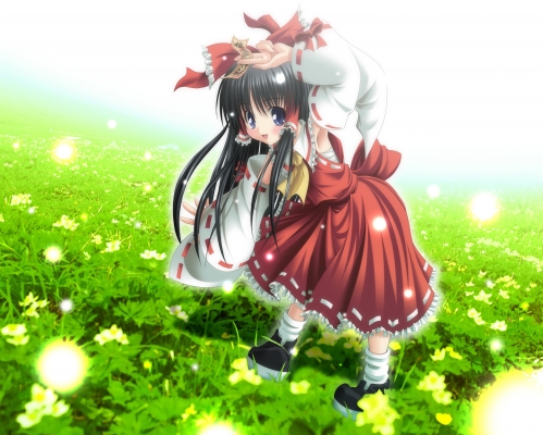 Touhou
touhou Hakurei Reimu