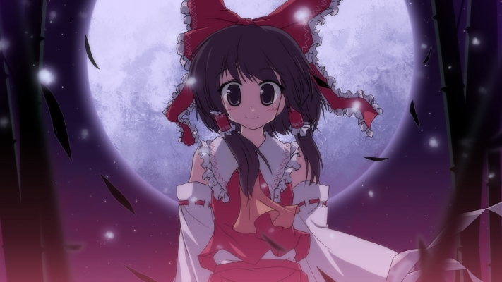 Touhou
touhou Hakurei Reimu