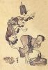   5
Hokusai 1760-1849, Katsushika