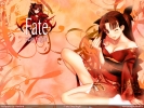 Fate/Stay Night
 Rin