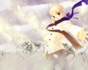 Fate/Stay Night
 Saber 