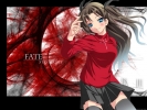 Fate/Stay Night