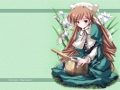   翠星石  Jade Stern
 Rozen Maiden Suiseiseki