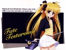      
Magical Girl Lyrical Nanoha Fate Testarossa